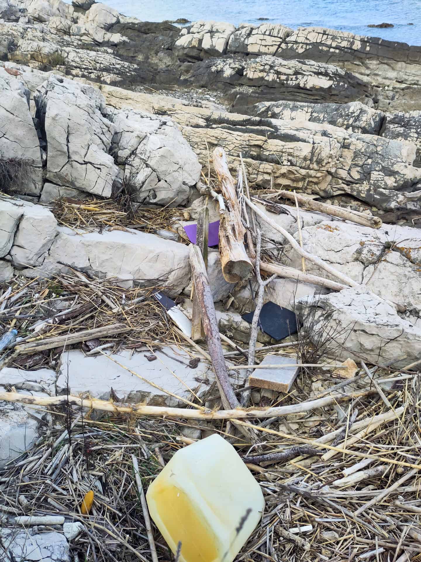 muell in der natur blog 4