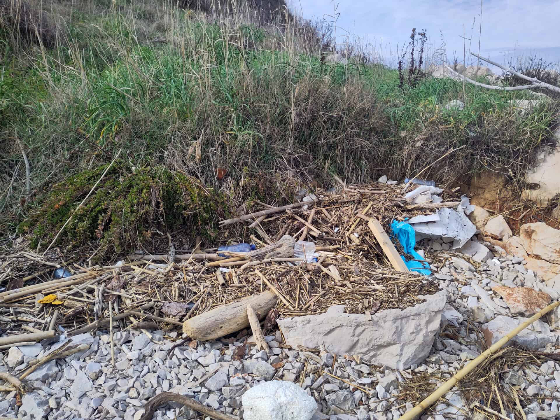 muell in der natur blog 5