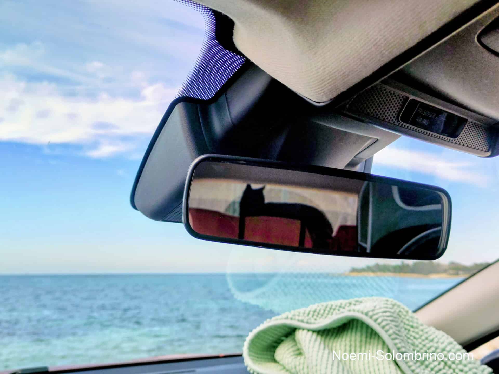 noemi solombrino blog katze23 1