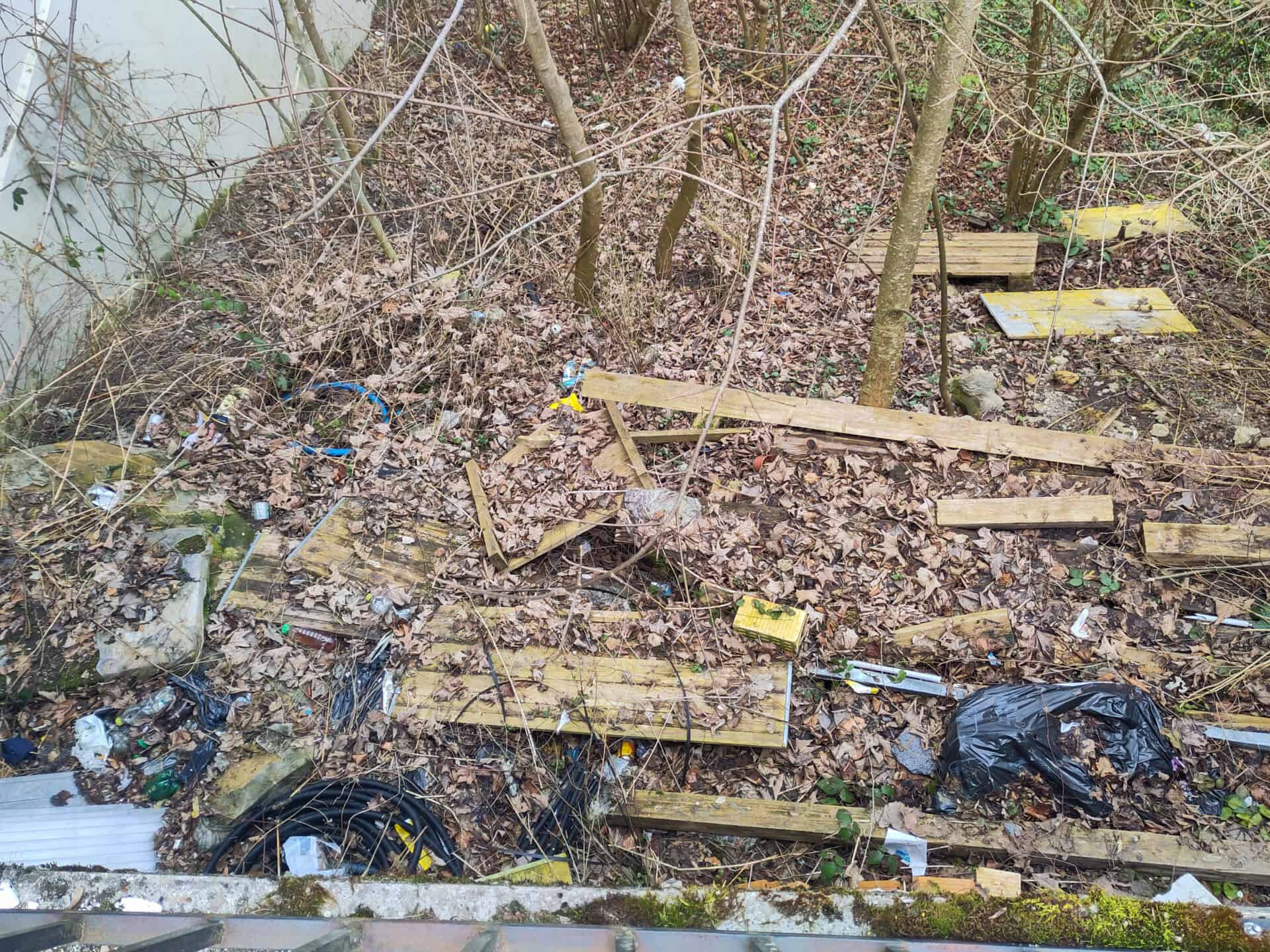 noemi solombrino blog muell