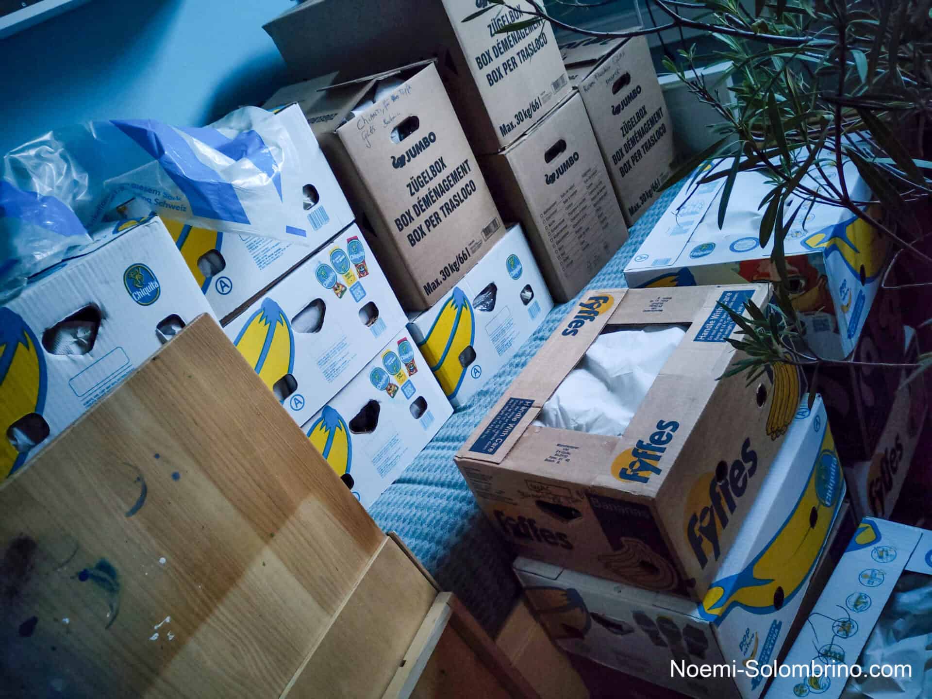 noemi solombrino blog2